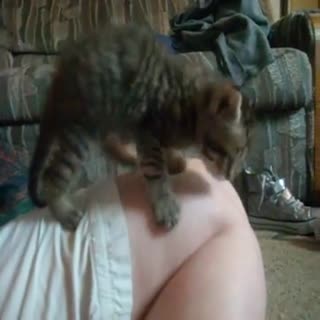 Recent Video