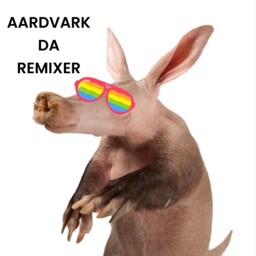 AardvarkDaRemixer