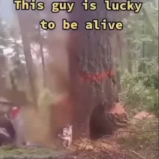 Recent Video